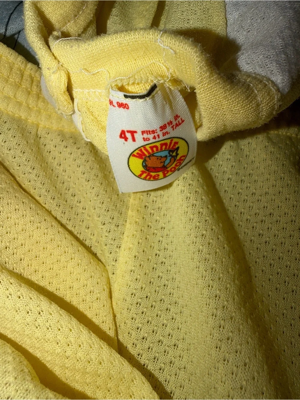 Vintage Winnie The Pooh Disney 2 Piece Boys Snap Waist Pajamas Tiger Beach 4T